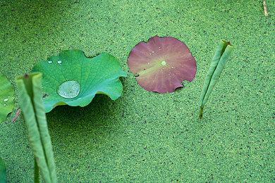 《机甲战魔》3周年直播活动 将于9月12日举行